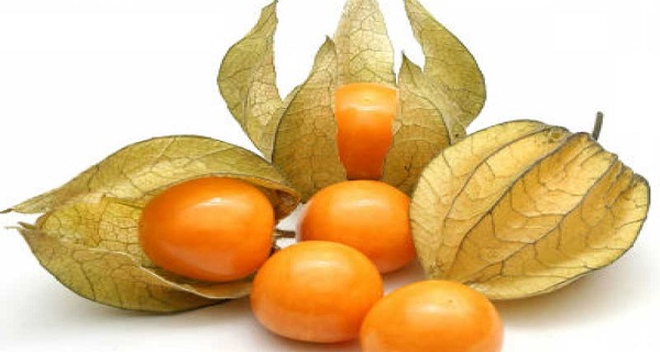 This Small Fruit Is a Real Treasure: It Cures Prostate, Combats Constipation And Prevent Stomach Cancer, Colon And Intestine