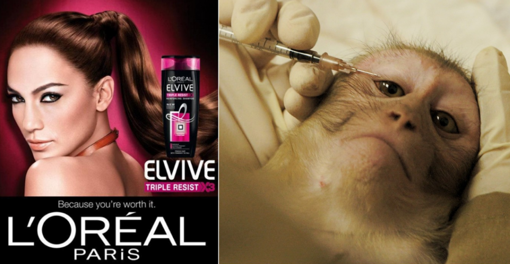 Ask L’Oreal to stop testing on innocent animals immediately!