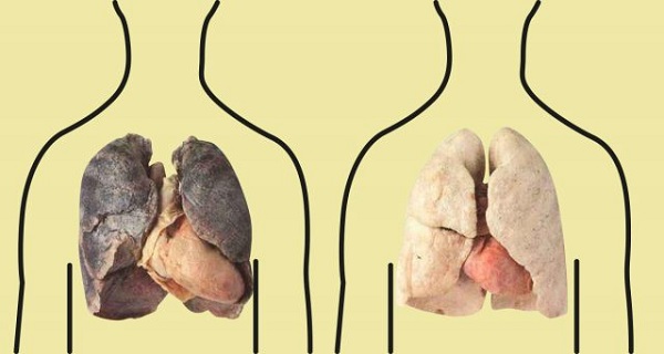 4 Foods That Will Clean Your Lungs And Save Your Life!