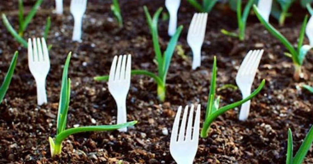 Stop Throwing Away Those Plastic Utensils. Here’s 5 Reasons Why You Should Plant Them Instead