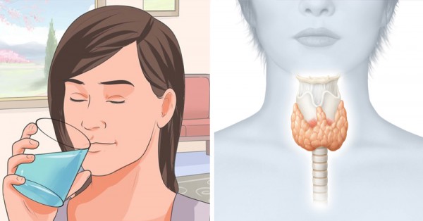 How to Reset the Thyroid to Burn Fat and Activate the Metabolism