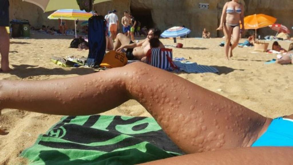 Cette femme va se baigner à la plage, en sortant de l’eau, c’est la panique pour les gens autour d’elle