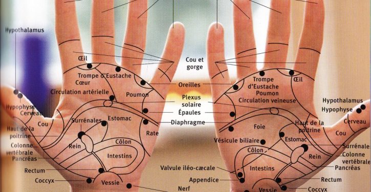 Chaque partie de la main est associée à une partie précise du corps. Exercez une pression dessus et regardez le résultat !
