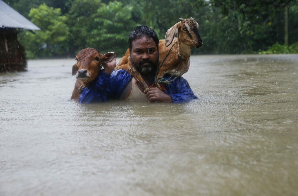 South Asia Is Also Experiencing The Worst Flooding In Decades