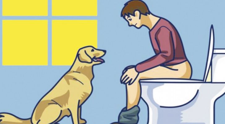 Si votre chien vous suit aux toilettes, ne l’ignorez pas: voici ce qu’il essaie de vous dire