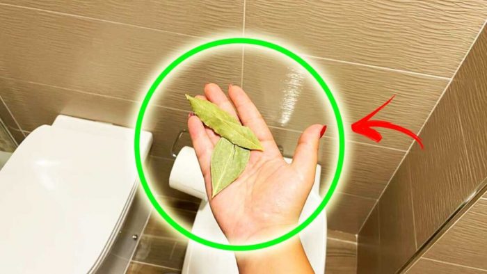 Pourquoi 2 feuilles de laurier dans la salle de bain ?