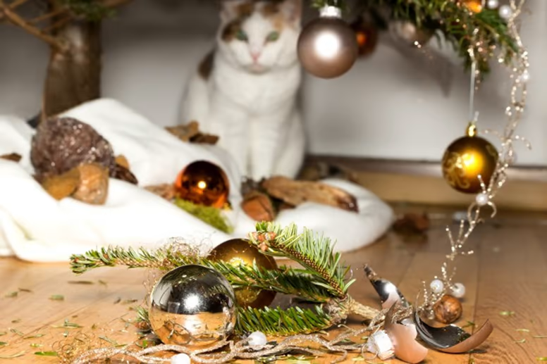 Comment éviter que son chat n’abîme le sapin de Noël ?