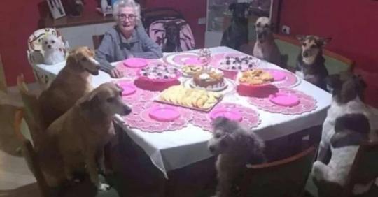 Cette grand-mère fête ses 89 ans entourée de… ses 10 chiens